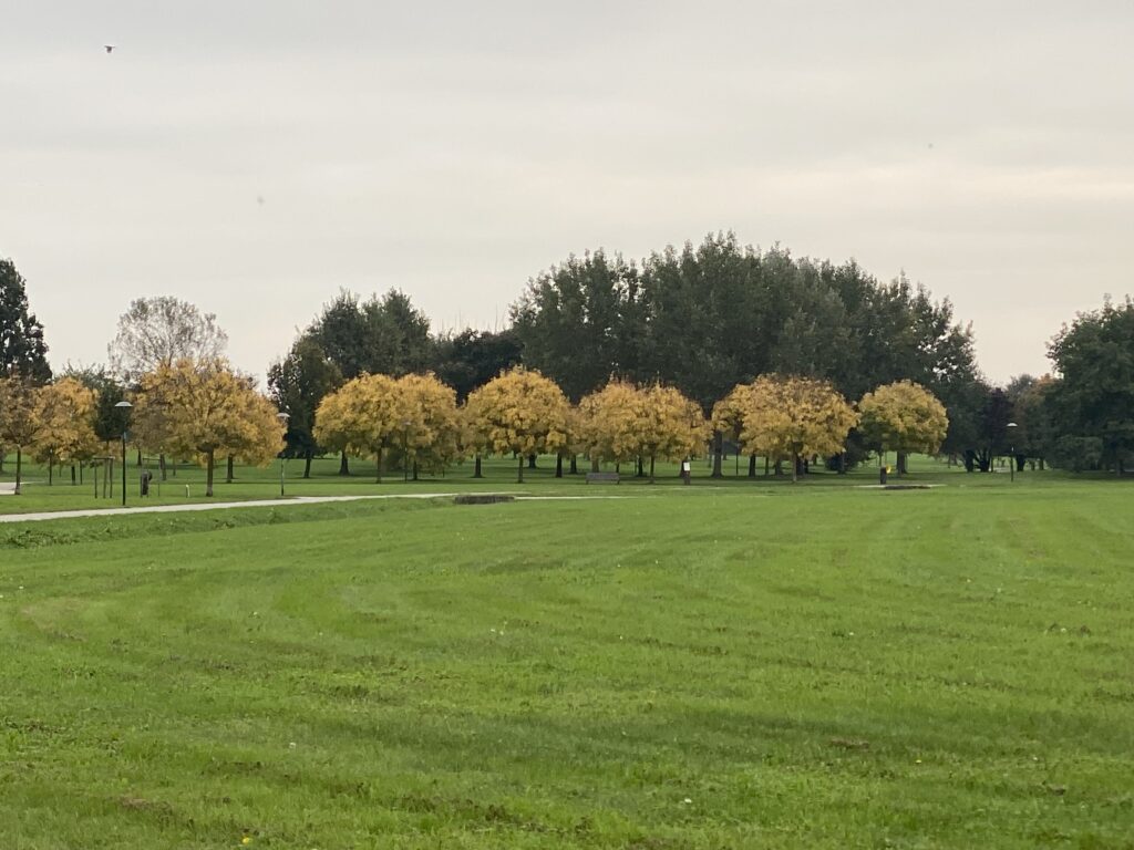 Parco San Giuliano: Una Vasta Oasi Verde Vicino Venezia